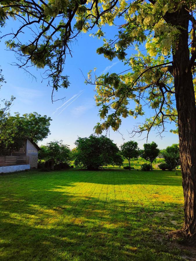 Ethno&Coffee House Tulip Bed & Breakfast Glozan Exterior foto