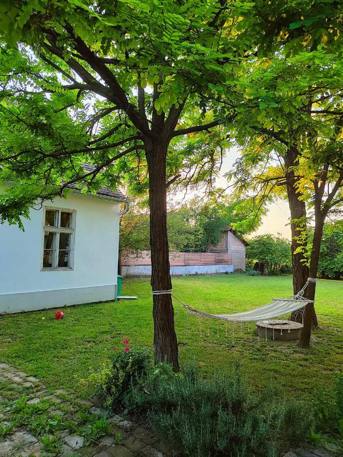 Ethno&Coffee House Tulip Bed & Breakfast Glozan Exterior foto