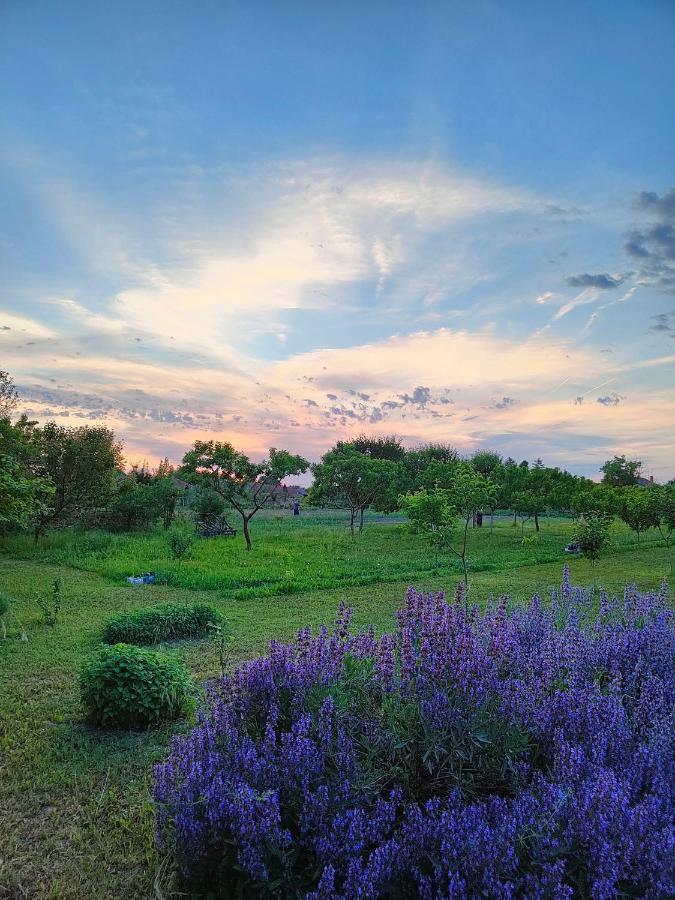 Ethno&Coffee House Tulip Bed & Breakfast Glozan Exterior foto