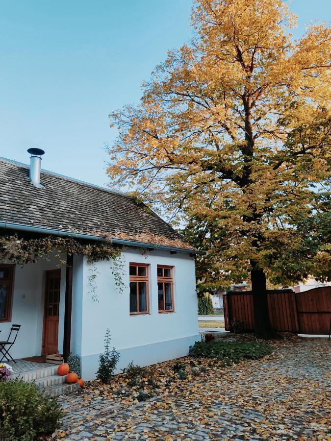 Ethno&Coffee House Tulip Bed & Breakfast Glozan Exterior foto